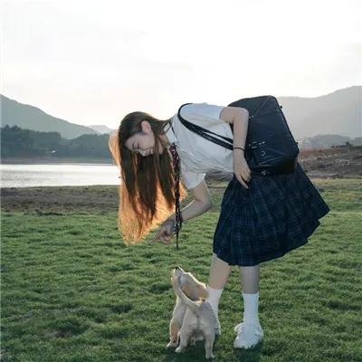 肥龙过江